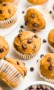 Chocolate Chip Mini Muffins